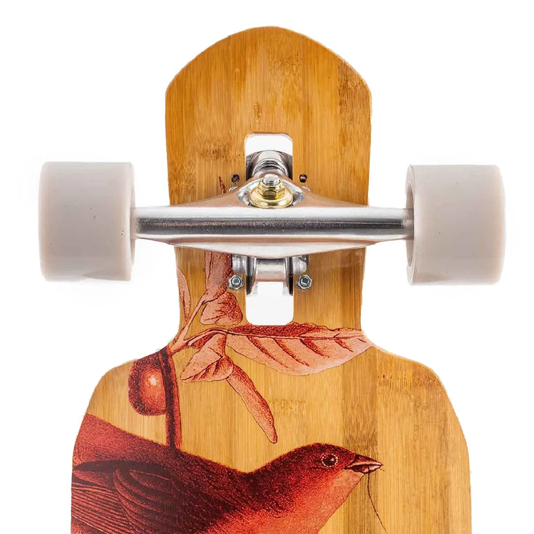 Longboard Hlb - Cut Out - 41'' - Red Bird